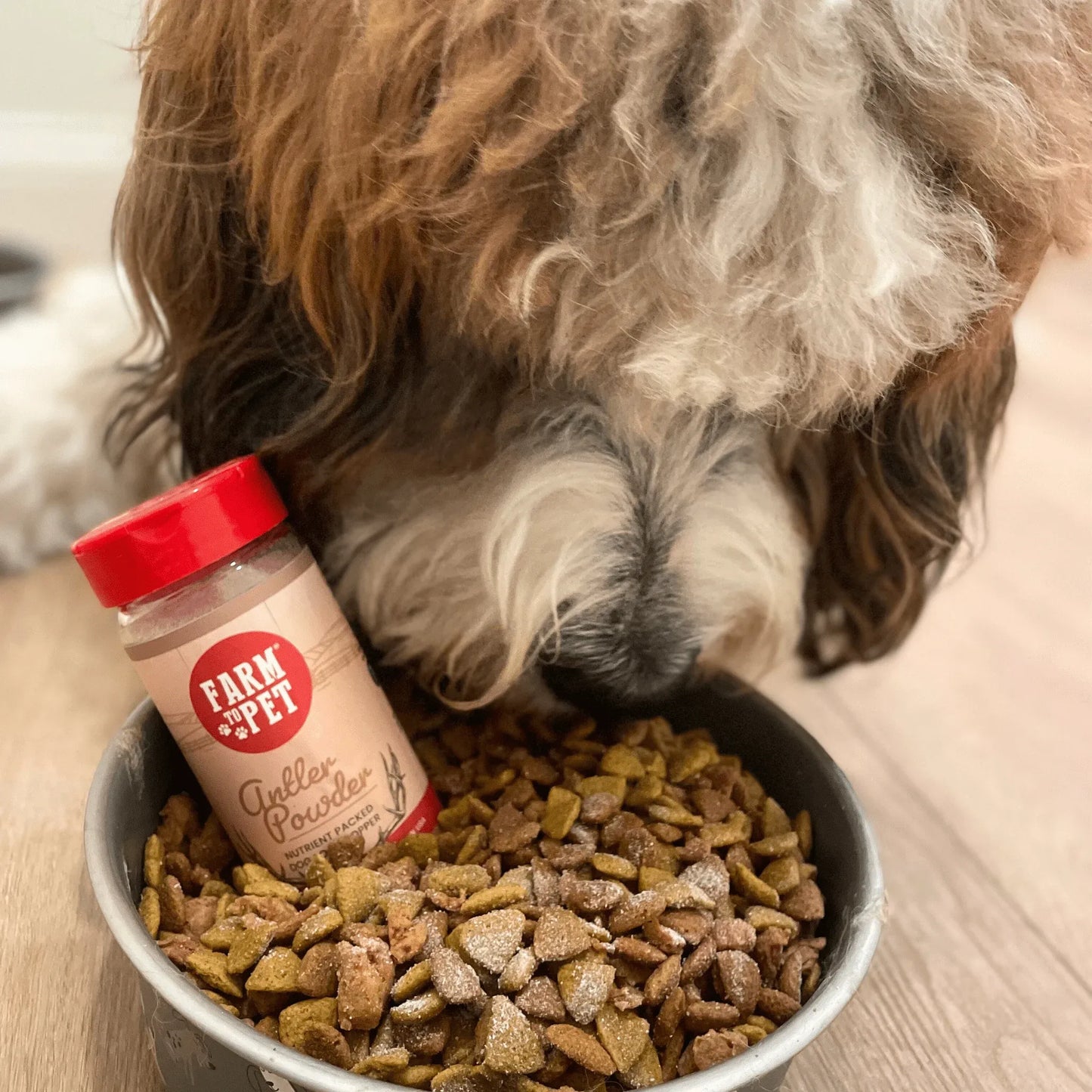 Treat Topper Antler Powder Dog Food Topper | Nutritional Supplement for Dogs and Cats