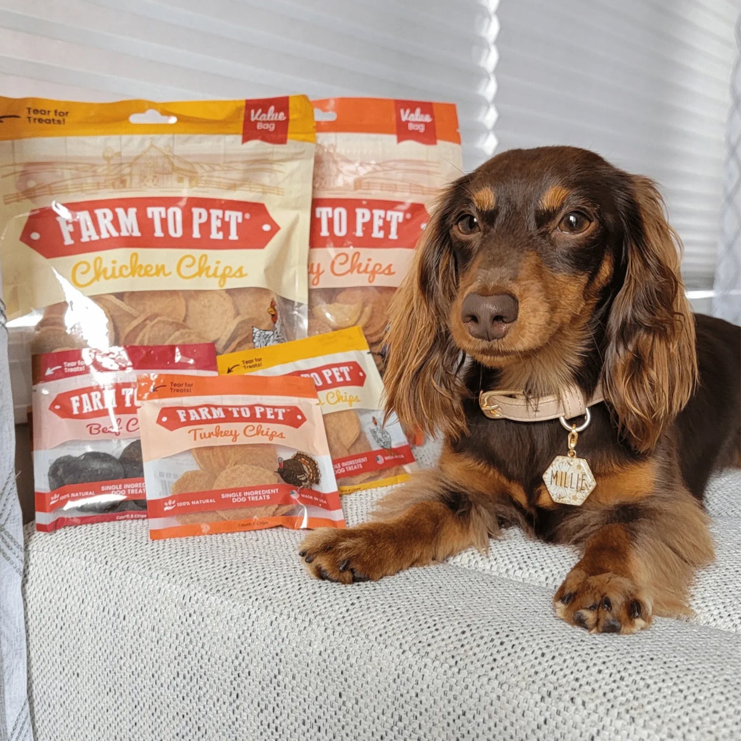 Turkey & Chicken Chip Dog Treat Duo | Single-Ingredient Poultry Treats for Dogs
