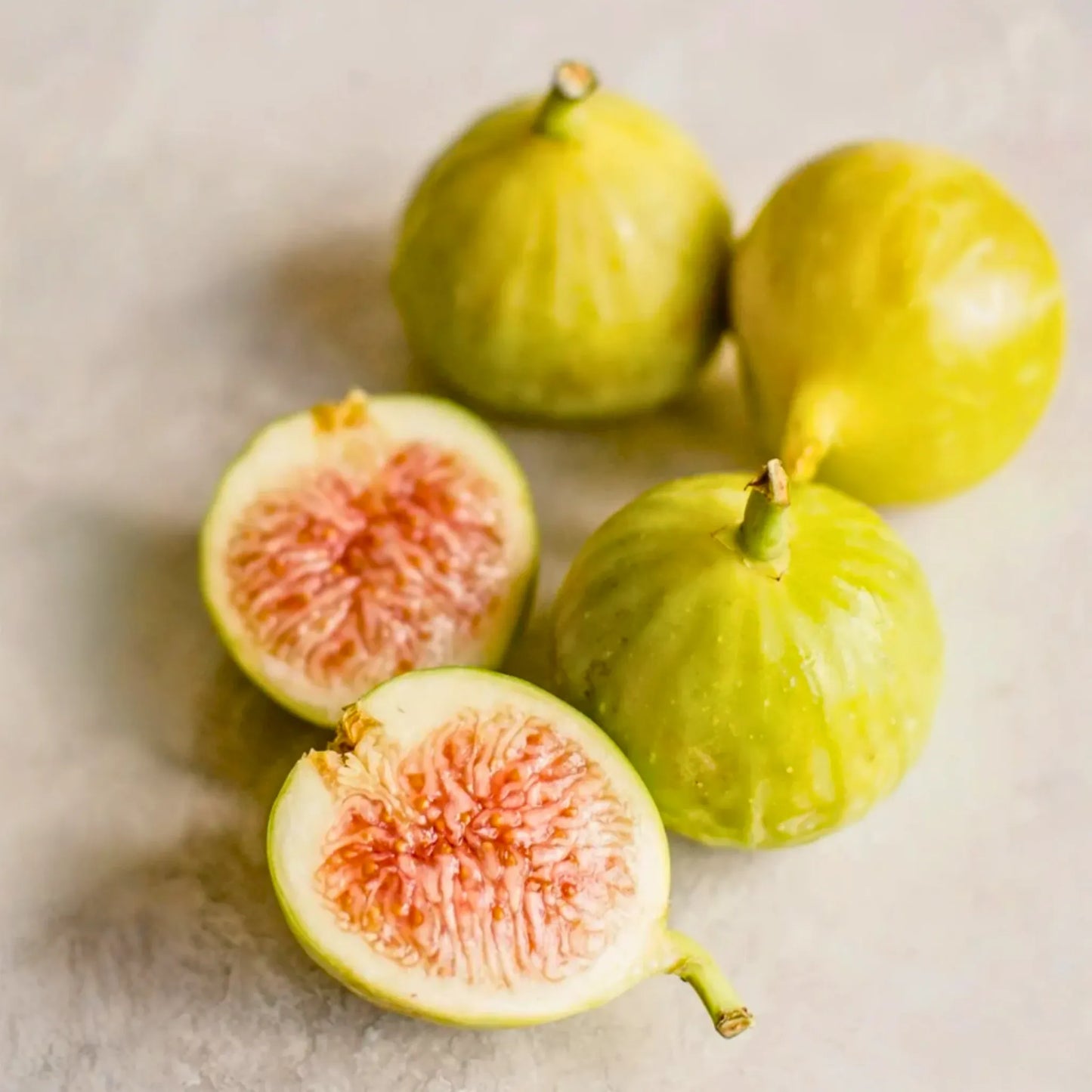 Fig 'Kadota' (Ficus carica)
