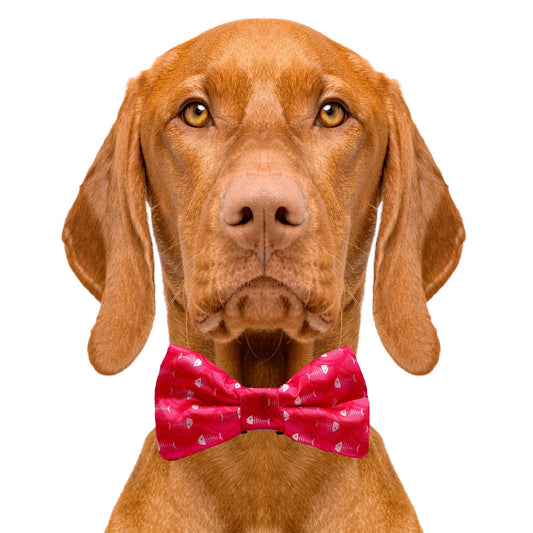 Fish Bone Red Dog Bow Tie