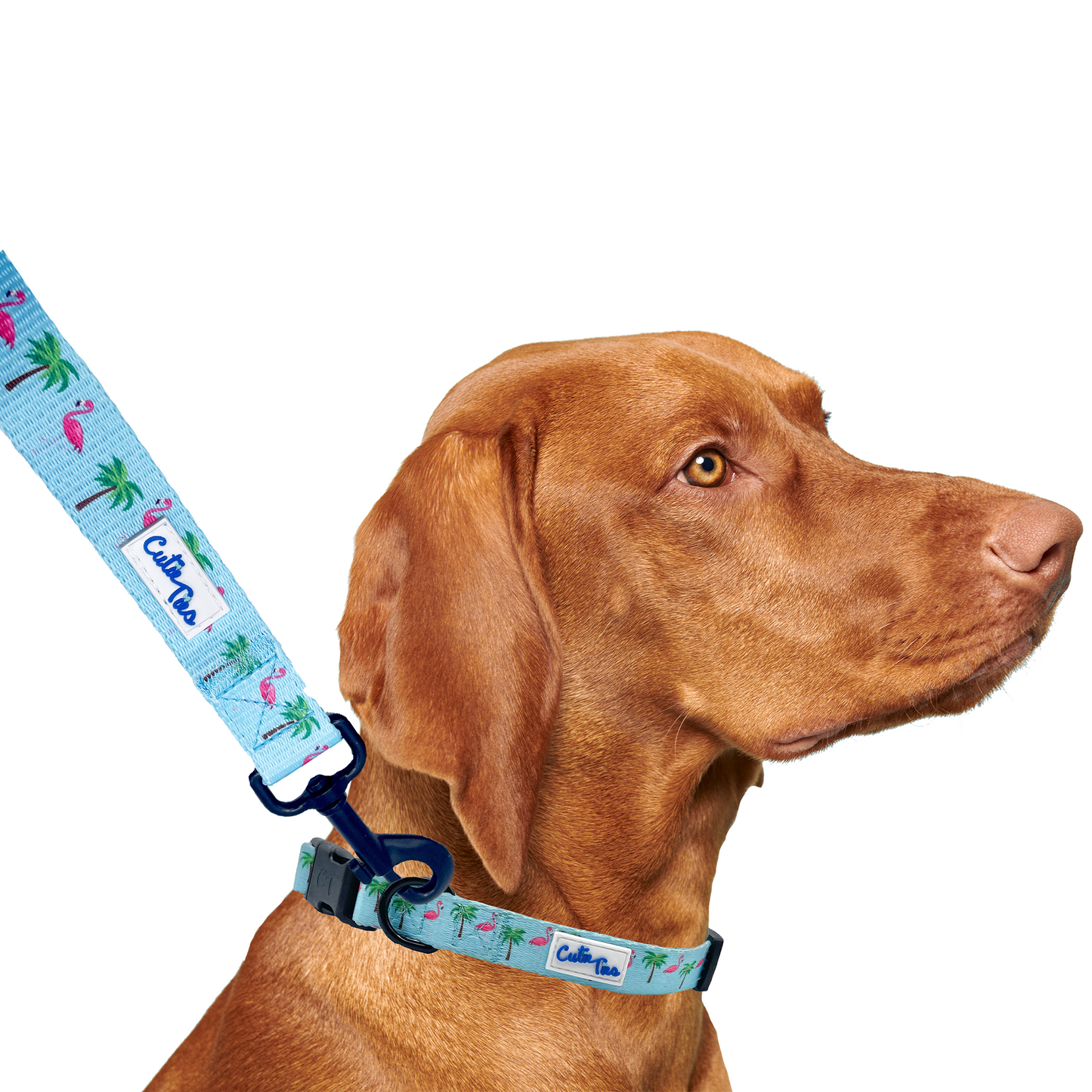 Flamingo Miami Vice Dog Leash