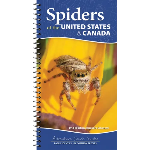 Spiders of the United States & Canada: Easily Identify 158 Common Species