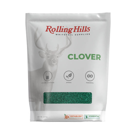 Clover