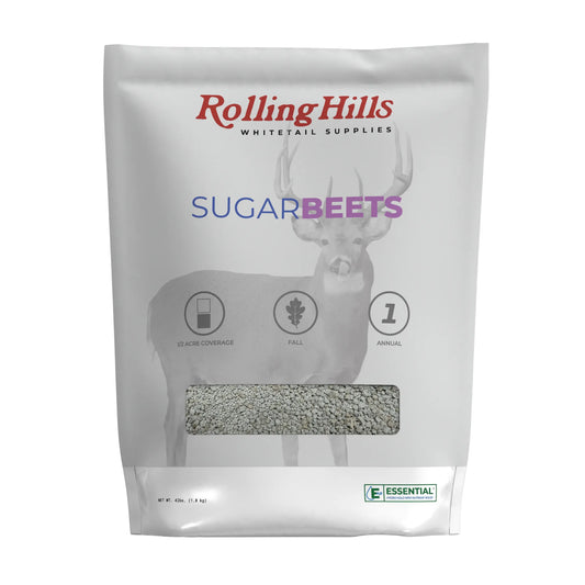SugarBeets