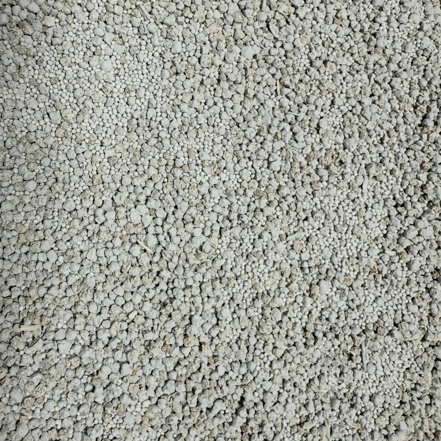 SugarBeets