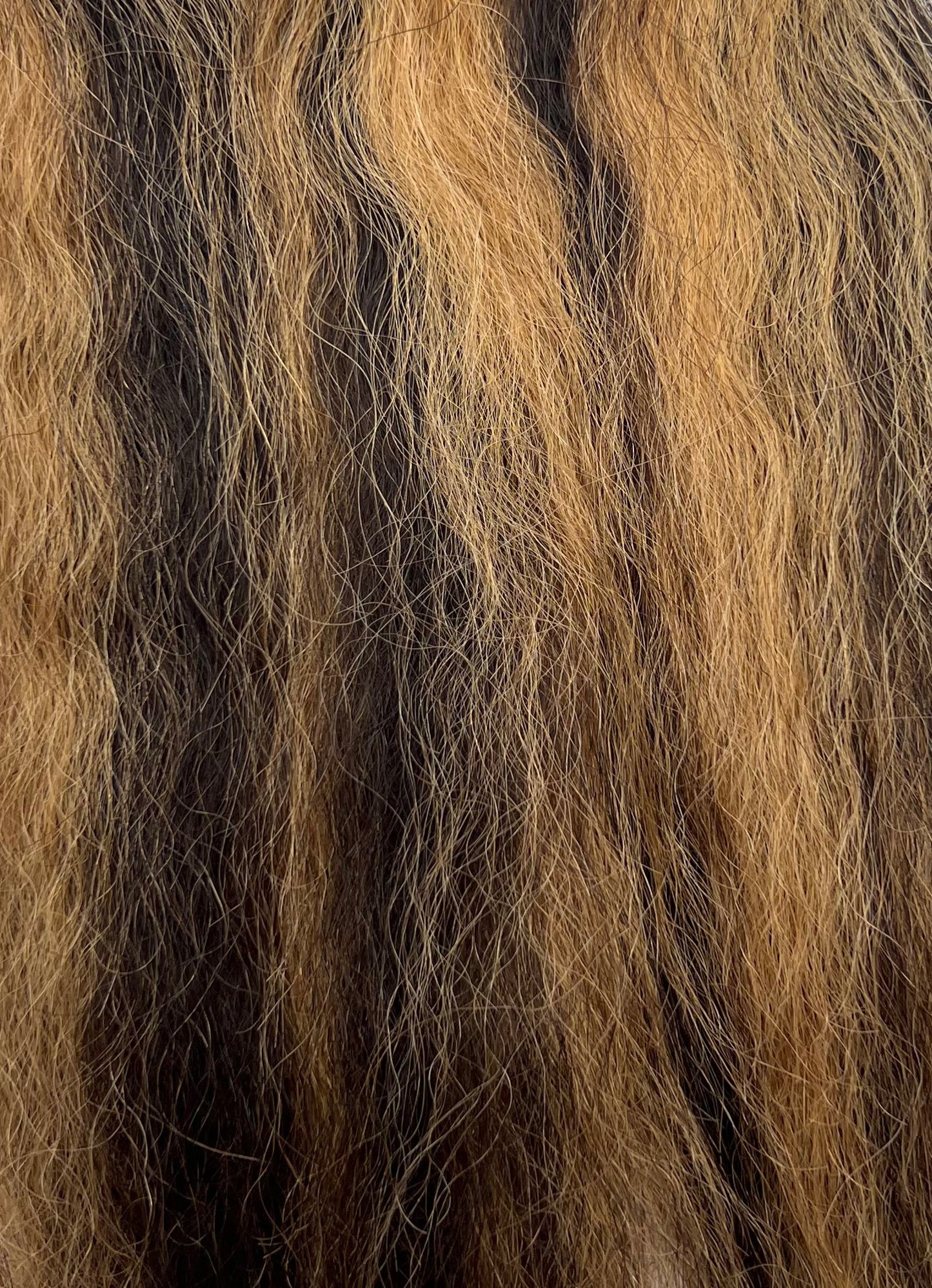 TRESS Collection Human Hair Blend - Super Bulk 14''
