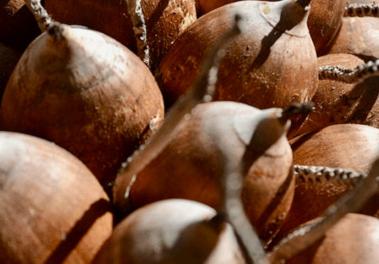 Babassu Oil