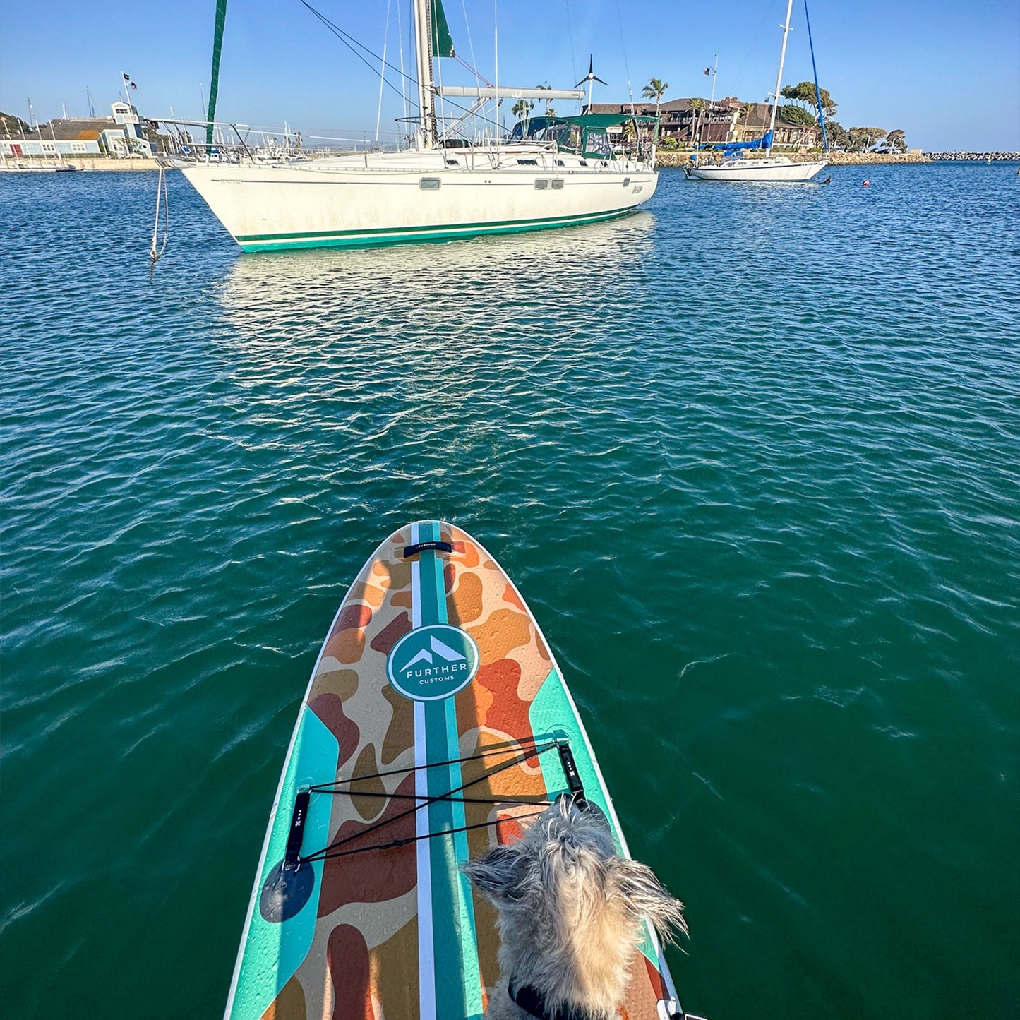 11'0 Tamarack Sage