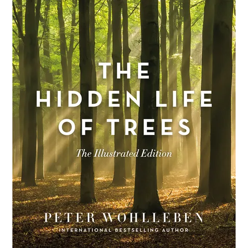 The Hidden Life of Trees: The Illustrated Edition