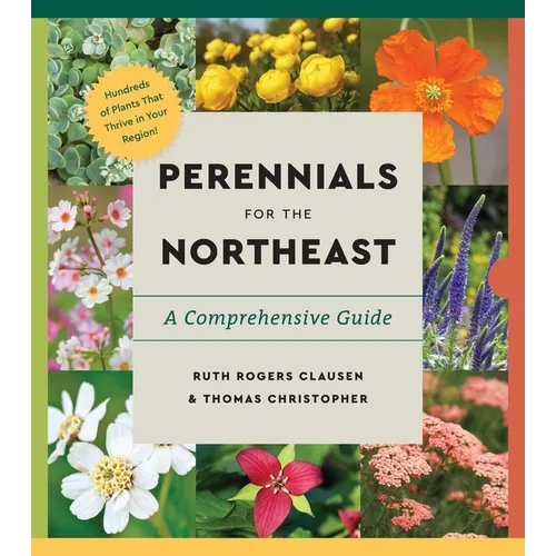 Perennials for the Northeast: A Comprehensive Guide
