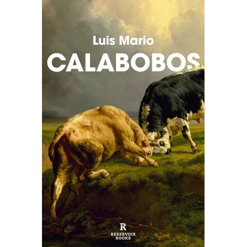 Calabobos / Drizzle