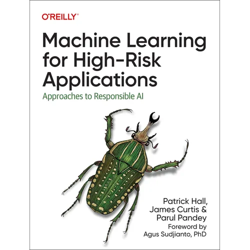 Machine Learning for High-Risk Applications: Approaches to Responsible AI