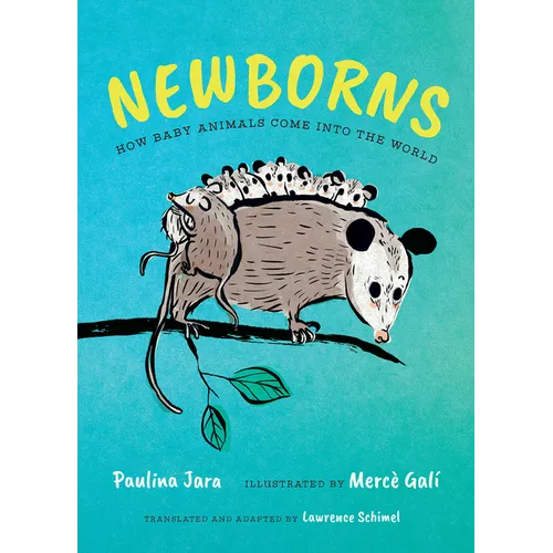 Newborns: How Baby Animals Come Into the World