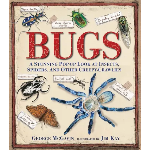 Bugs: A Stunning Pop-Up Look at Insects, Spiders, and Other Creepy-Crawlies