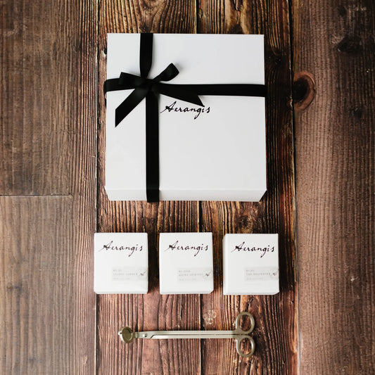 Discovery Journey Gift Set