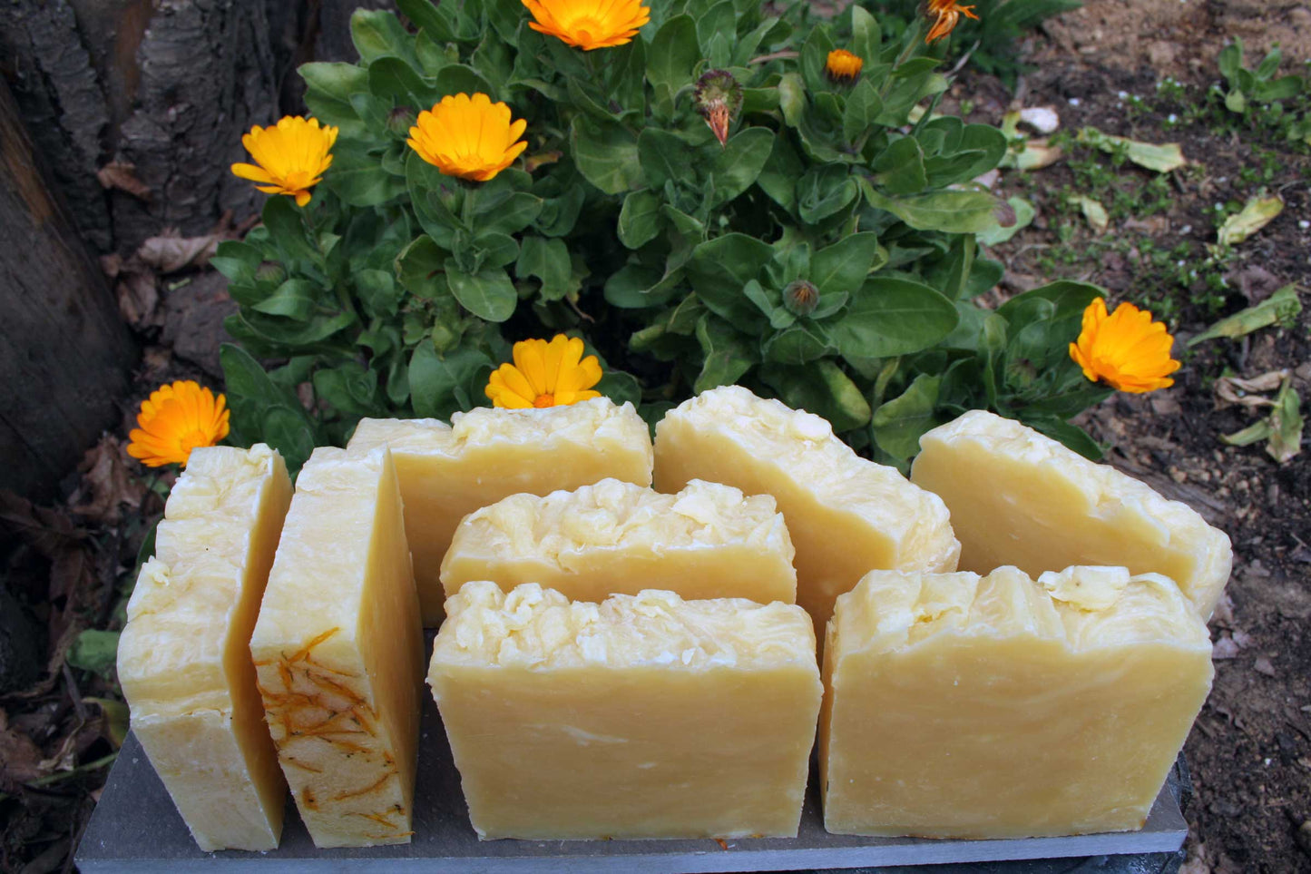 Gentle Cleansing Cranberry Bar