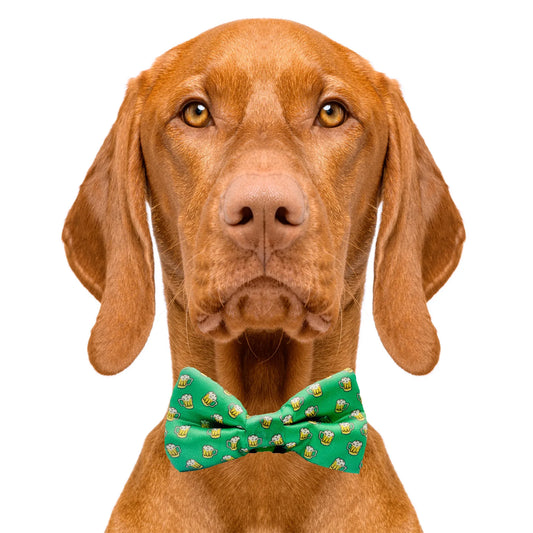St. Patrick's Day Green Beer Dog Bow Tie