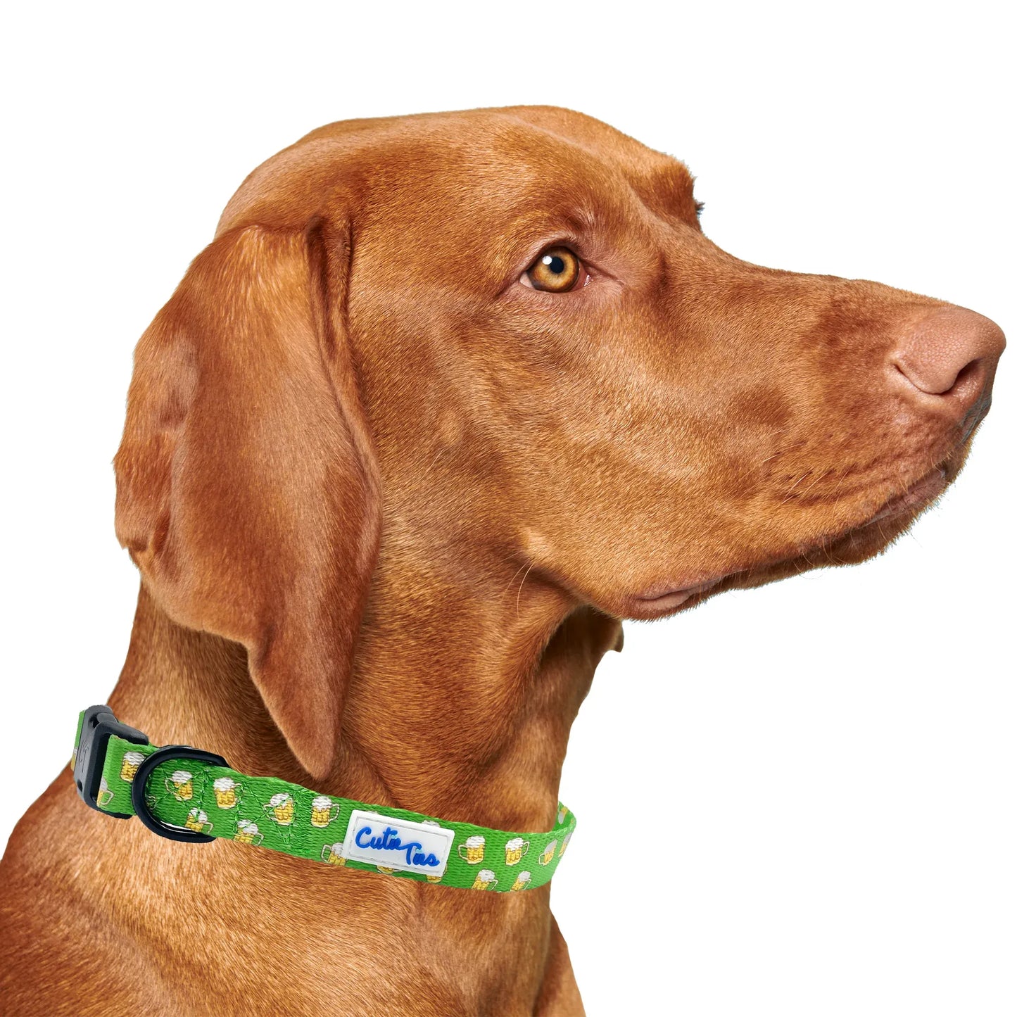 St. Patrick's Day Green Beer Dog Collar