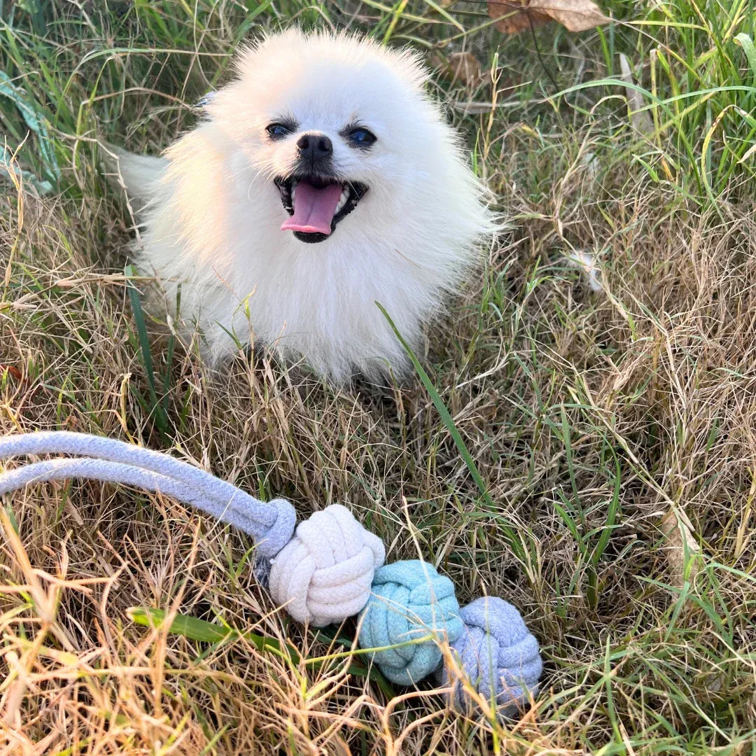 Mint Ice Cream Rope Balls Puppy Tug Toy