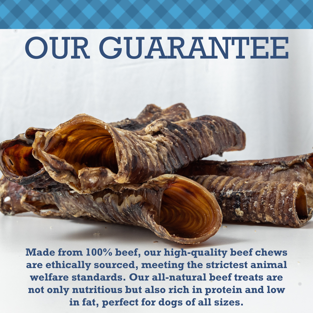 Country Living All-Natural Beef Trachea Dog Treats, Protein-Packed Chews – 12 Inches (5-Pack)