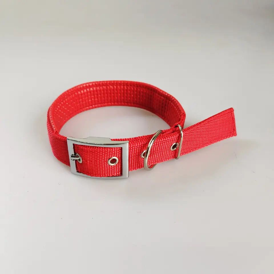 DOG COLLAR,  NYLON - XXLARGE SIZE