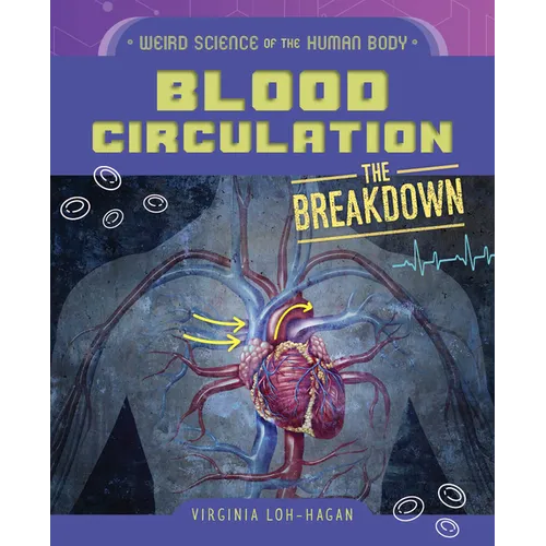Blood Circulation