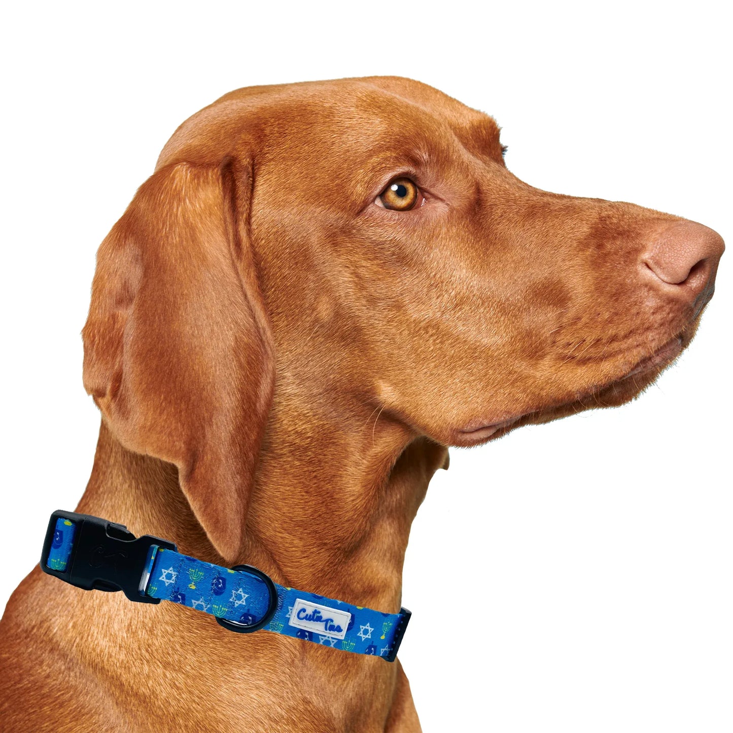 Hanukkah Dreidel Blue Dog Collar