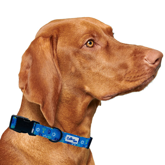 Hanukkah Dreidel Blue Dog Collar