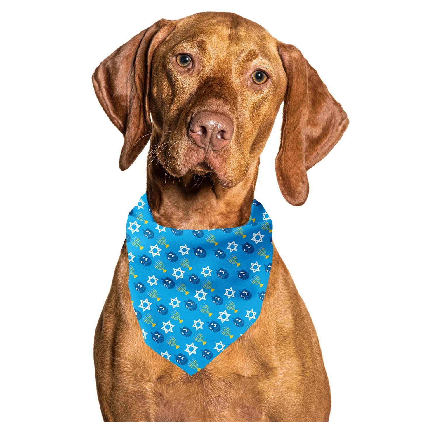Hanukkah Blue Dreidel Tie On Dog Bandana