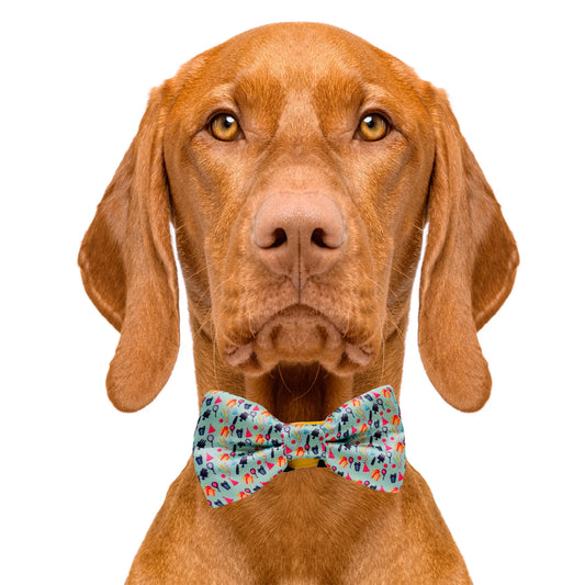 Happy Birthday! Aqua Dog Bow Tie