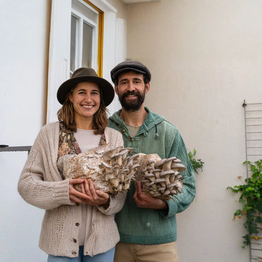 Premium Blue Oyster Mushroom Fruiting Block Grow Kit - 5 LBS