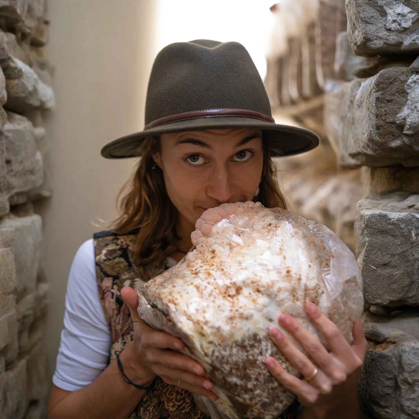 3 Pack - Premium Lion's Mane, Pink, and Blue Oyster Mushroom Fruiting Block Grow Kits - 15 LBS