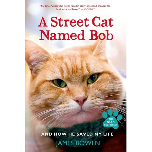 A Street Cat Named Bob and How He Saved My Life - Paperback