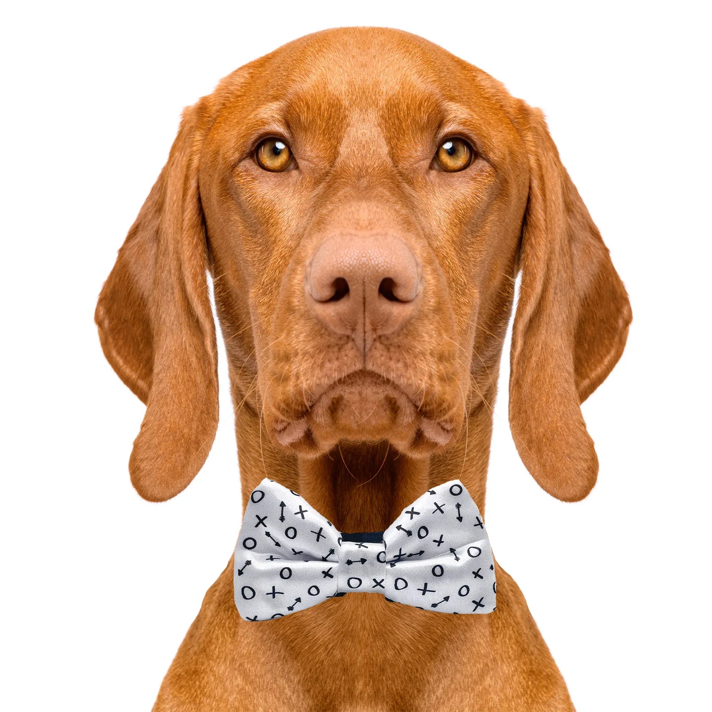 Hugs & Kisses Dog Bow Tie