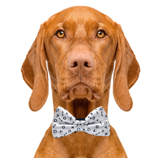 Hugs & Kisses Dog Bow Tie