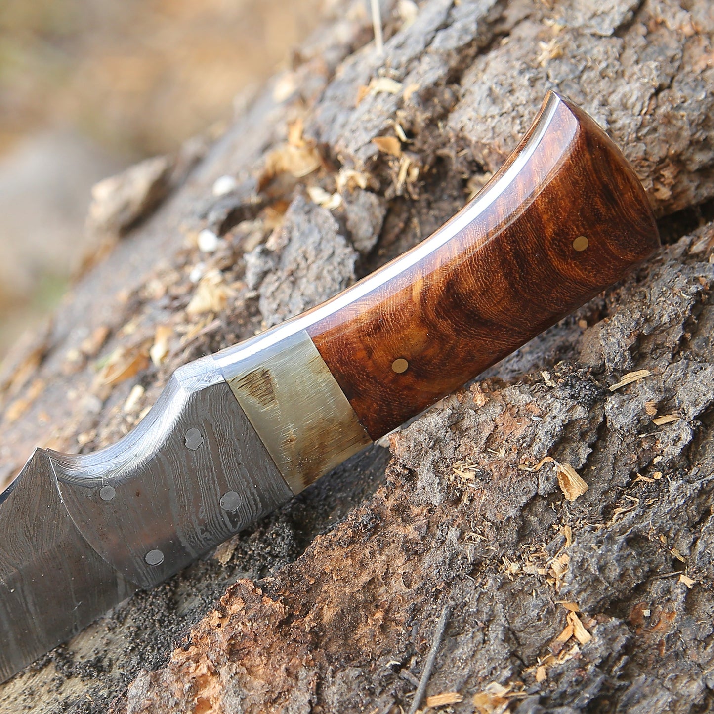 Stinger Custom Handmade Hunting Knife, With Ram Horn & Rose Wood Handle