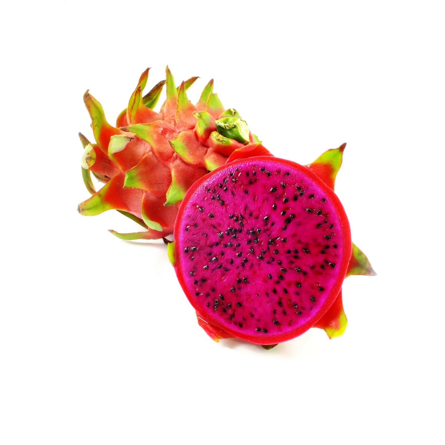 Dragon Fruit, Red 'Tricia' (Hylocereus polyrhizus)