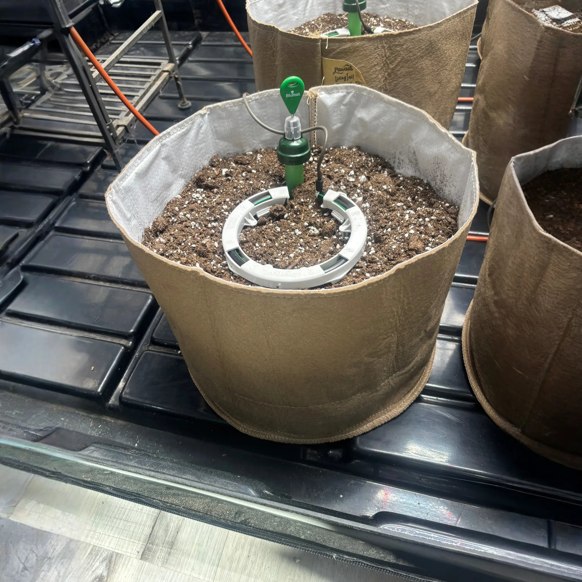 Preset Blumat Grow Tent Irrigation Kit