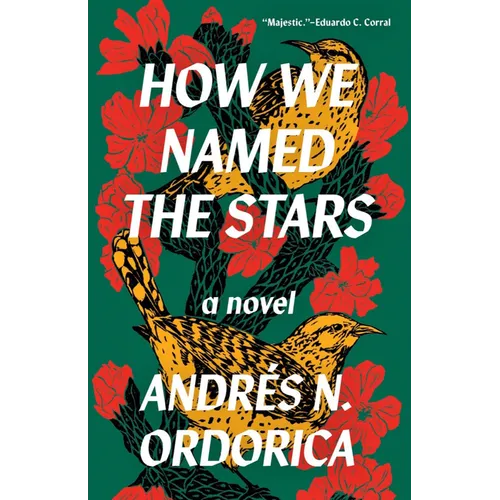 How We Named the Stars