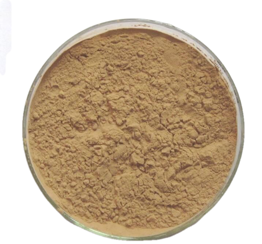 Gotu Kola Extract Powder