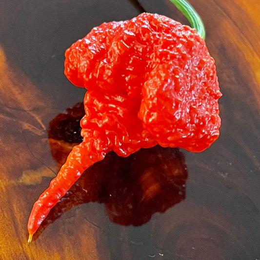 Market - Carolina Reaper - Seeds