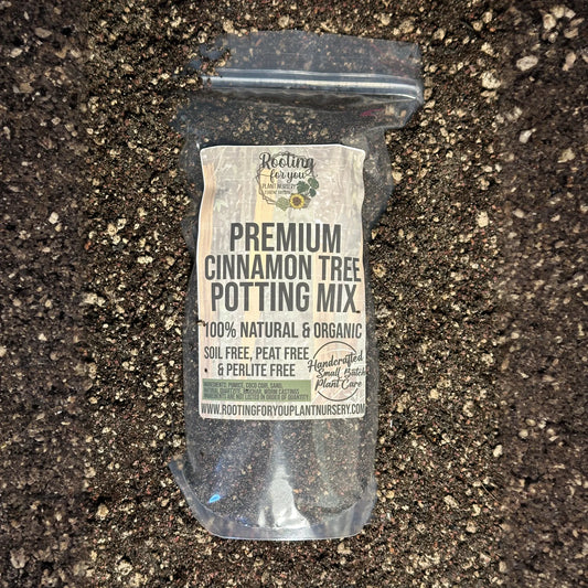 Cinnamon Tree Premium Potting Mix
