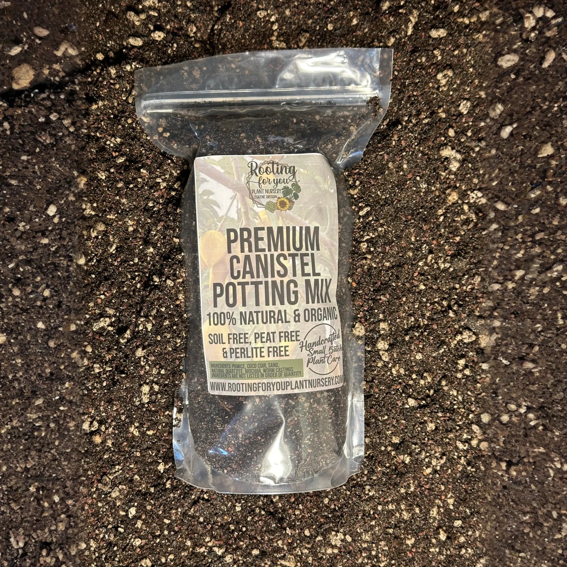 Canistel Eggfruit Premium Potting Mix