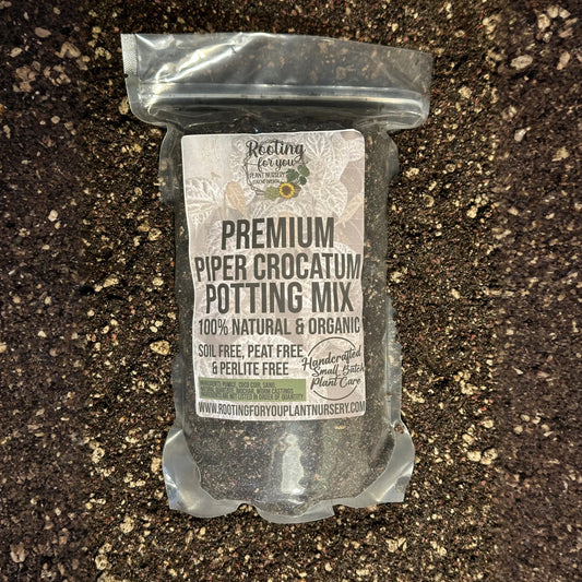 Piper Crocatum Premium Potting Mix