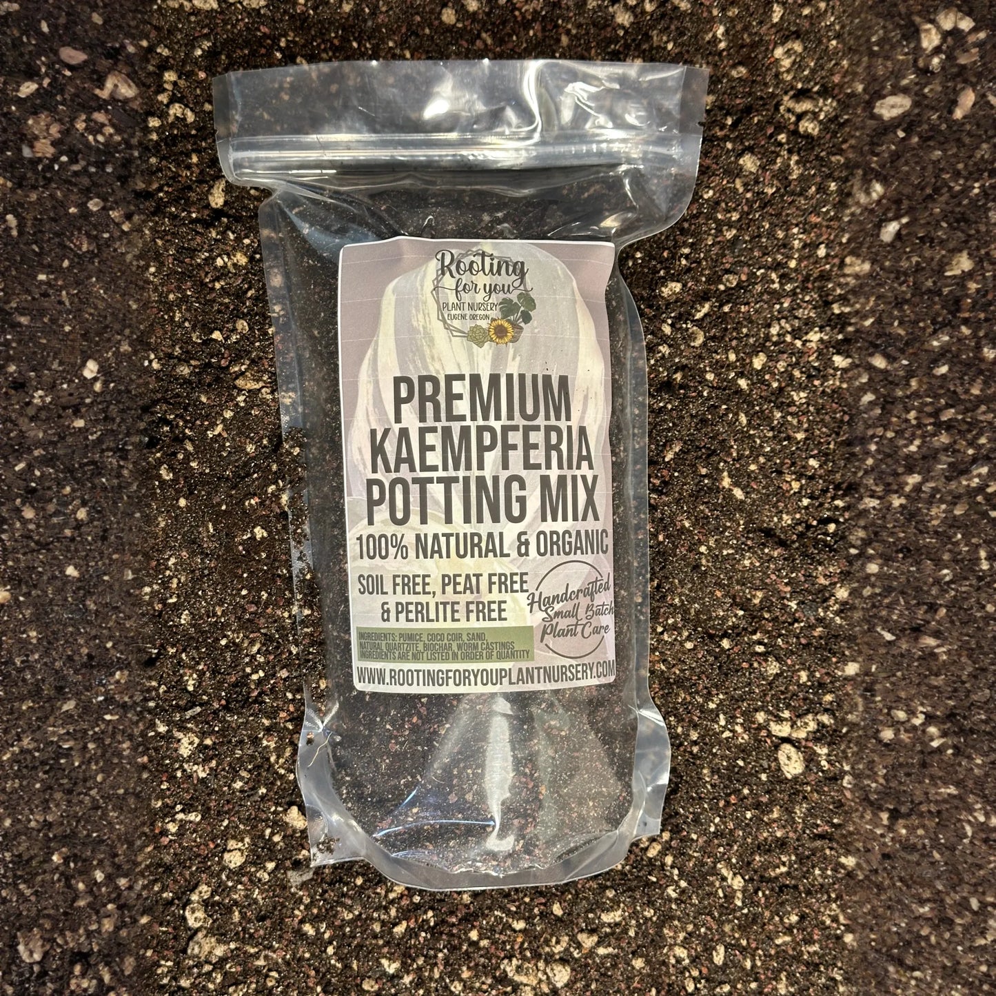 Kaempferia Ginger Premium Potting Mix