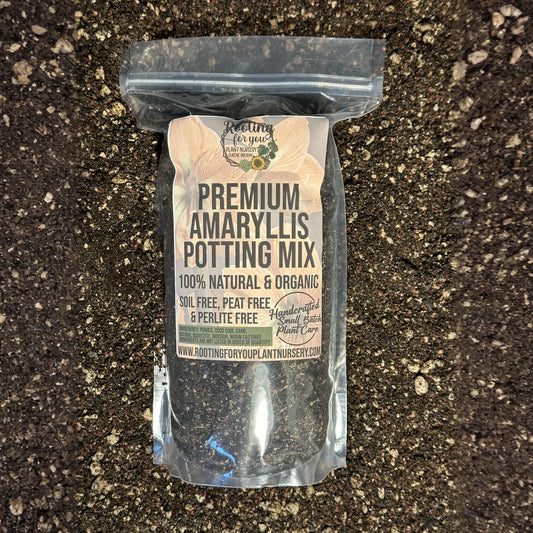 Amaryllis Premium Potting Mix