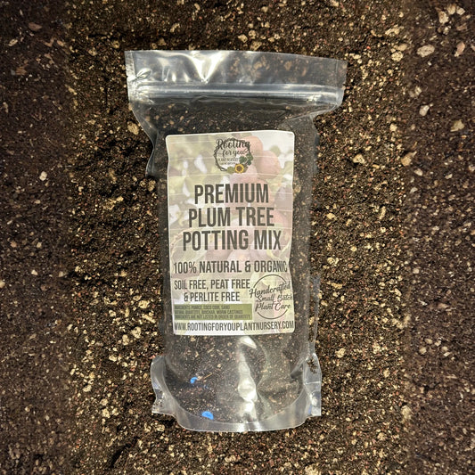 Plum Tree Premium Potting Mix