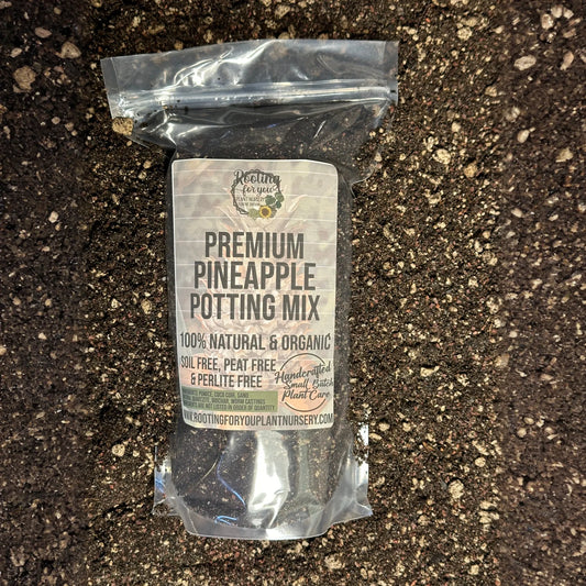 Pineapple Premium Potting Mix