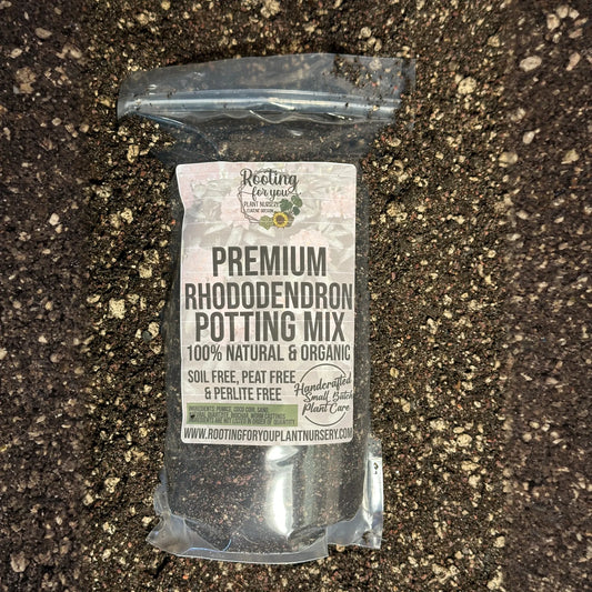Rhododendron Premium Potting Mix