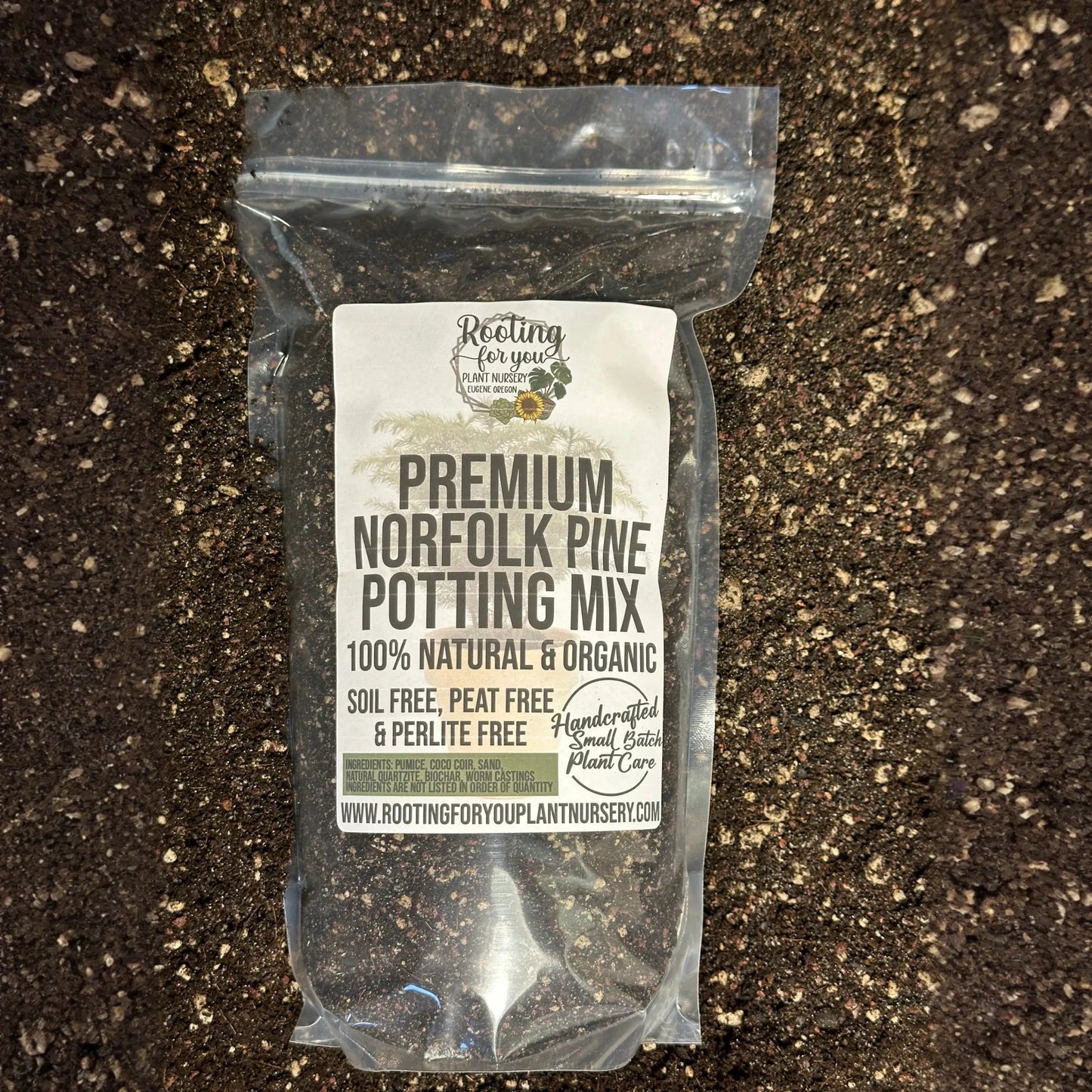 Norfolk Pine Premium Potting Mix